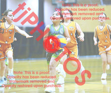 Load image into Gallery viewer, Sarenity Asiata Truganina South Summer 2025/26 Game Photo Catalogue