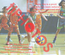 Load image into Gallery viewer, Sarenity Asiata Truganina South Summer 2025/26 Game Photo Catalogue
