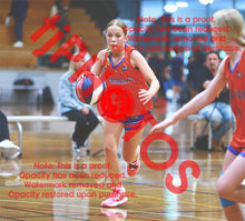 Load image into Gallery viewer, Sadie Palsson Westgate U14G2 VJBL 2026 Game Photo Catalogue