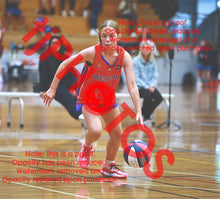 Load image into Gallery viewer, Sadie Palsson Westgate U14G2 VJBL 2026 Game Photo Catalogue