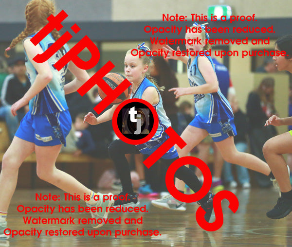 Paige Ward Western Wildcats Winter 2025 Game Photo Catalogue