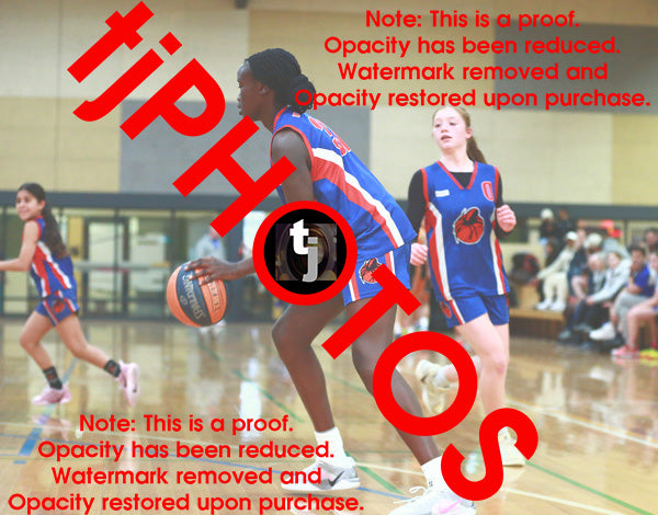 Anok Noi Iramoo Opals Winter 2025 Game Photo Catalogue