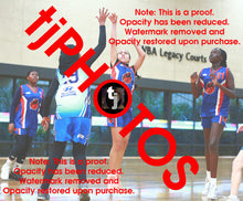 Load image into Gallery viewer, Te Ohomairangi Puketapu-Harmer Iramoo Winter 2025 Game Photo Catalogue