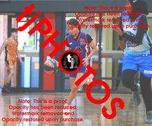 Load image into Gallery viewer, Te Ohomairangi Puketapu-Harmer Iramoo Winter 2025 Game Photo Catalogue