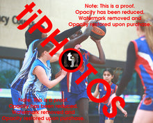 Load image into Gallery viewer, Anok Noi Iramoo Opals Winter 2025 Game Photo Catalogue
