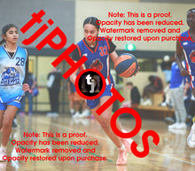 Load image into Gallery viewer, Te Ohomairangi Puketapu-Harmer Iramoo Winter 2025 Game Photo Catalogue