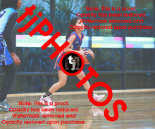 Load image into Gallery viewer, Ataakura Puketapu-Harmer Iramoo Winter 2025 Game Photo Catalogue