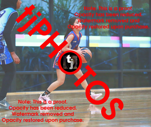 Ataakura Puketapu-Harmer Iramoo Winter 2025 Game Photo Catalogue