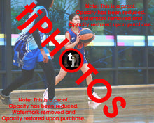 Load image into Gallery viewer, Ataakura Puketapu-Harmer Iramoo Winter 2025 Game Photo Catalogue