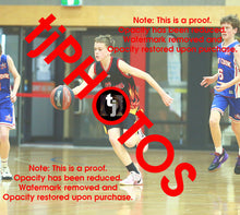 Load image into Gallery viewer, William MacCallum Flames Winter 2025 Game Photo Catalogue