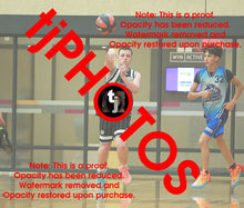 Load image into Gallery viewer, Harrison Collins Woodville Summer 2024/25 Game Photo Catalogue