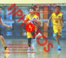 Load image into Gallery viewer, Ethan Desiderio Wyndham U12B3 VJBL 2026 Game Photo Catalogue