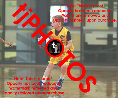 Alexander Ursu Wyndham 2025 Game Photo Catalogue