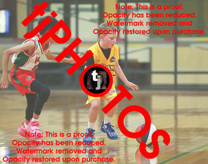 Alexander Ursu Wyndham 2025 Game Photo Catalogue