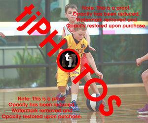 Alexander Ursu Wyndham 2025 Game Photo Catalogue