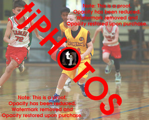 Alexander Ursu Wyndham 2025 Game Photo Catalogue
