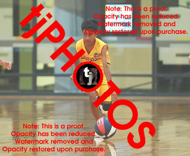 Nikith Sakineni Wyndham U12B4 2025 Game Photo Catalogue