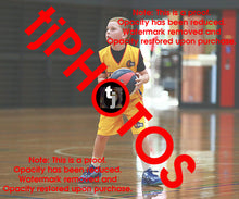 Load image into Gallery viewer, Alexander Ursu Wyndham 2025 Game Photo Catalogue
