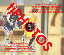 Load image into Gallery viewer, Archer Portelli Wyndham 2025 Game Photo Catalogue