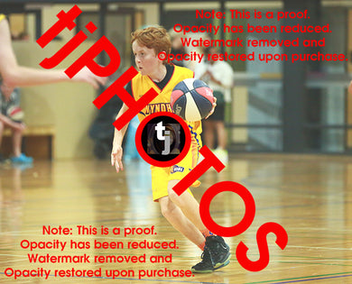 Fraser Camilleri Wyndham 2025 Game Photo Catalogue