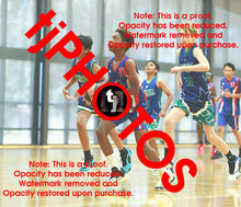 Load image into Gallery viewer, Markosis lokossa Iramoo Summer 2024-25 Game Photo Catalogue