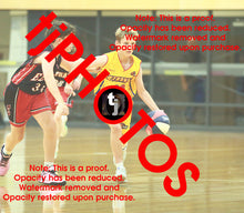 Load image into Gallery viewer, Wyndham U12B2 2025 Game Photo Catalogue