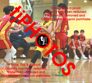 Brandon Setiawan Wyndham 2025 Game Photo Catalogue