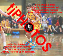 Load image into Gallery viewer, Viktor Stolic Wyndham 2025 Game Photo Catalogue