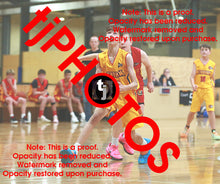 Load image into Gallery viewer, Viktor Stolic Wyndham 2025 Game Photo Catalogue