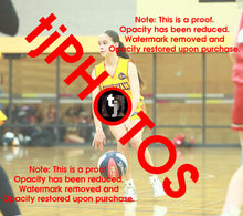Load image into Gallery viewer, April Hollingsworth Wyndham 2025 Game Photo Catalogue