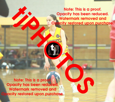 April Hollingsworth Wyndham 2025 Game Photo Catalogue