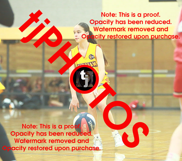 April Hollingsworth Wyndham 2025 Game Photo Catalogue
