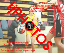 Load image into Gallery viewer, April Hollingsworth Wyndham 2025 Game Photo Catalogue