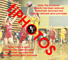 Load image into Gallery viewer, April Hollingsworth Wyndham 2025 Game Photo Catalogue