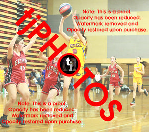 April Hollingsworth Wyndham 2025 Game Photo Catalogue