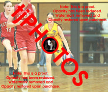 Load image into Gallery viewer, April Hollingsworth Wyndham 2025 Game Photo Catalogue
