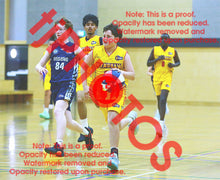 Load image into Gallery viewer, Travis Driver Wyndham U16B4 VJBL 2026 Game Photo Catalogue