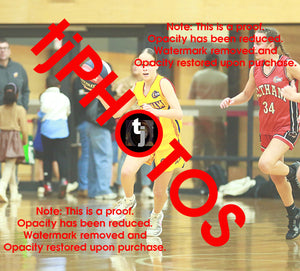 April Hollingsworth Wyndham 2025 Game Photo Catalogue