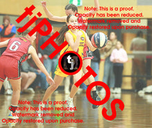 Load image into Gallery viewer, April Hollingsworth Wyndham 2025 Game Photo Catalogue