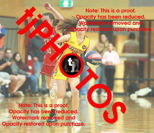 April Hollingsworth Wyndham 2025 Game Photo Catalogue