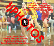 Load image into Gallery viewer, April Hollingsworth Wyndham 2025 Game Photo Catalogue