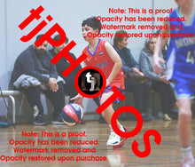 Load image into Gallery viewer, Alexander Berkis Westgate 2025 Game Photo Catalogue
