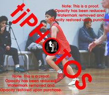 Load image into Gallery viewer, Alexander Berkis Westgate 2025 Game Photo Catalogue