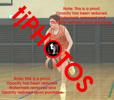 Travis Driver Corpus Winter 2025 Game Photo Catalogue