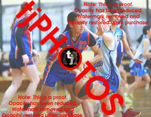 Load image into Gallery viewer, Te Ohomairangi Puketapu-Harmer Iramoo Winter 2025 Game Photo Catalogue