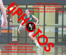 Load image into Gallery viewer, Sienna Firman Hoppers Winter 2025 Game Photo Catalogue