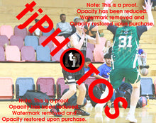 Load image into Gallery viewer, Gabriel Walsh Woodville Winter 2025 Game Photo Catalogue