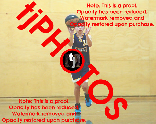 William Masters Cambridge Winter 2025 Game Photo Catalogue