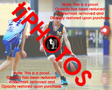 Load image into Gallery viewer, William Masters Cambridge Winter 2025 Game Photo Catalogue