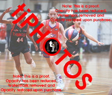 Load image into Gallery viewer, Maya Lung Westgate 2025 Game Photo Catalogue